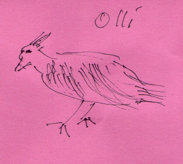 olli