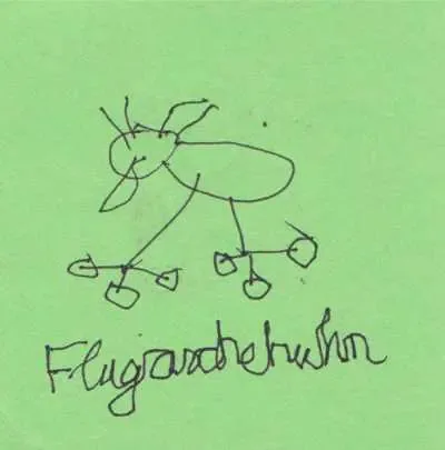 flugaschehuhn
