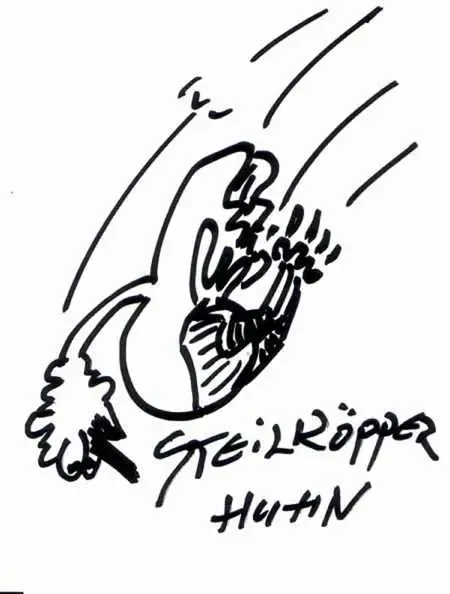 steilkoepperhuhn