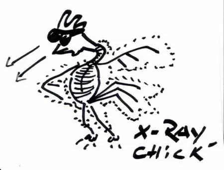 xrayhuhn
