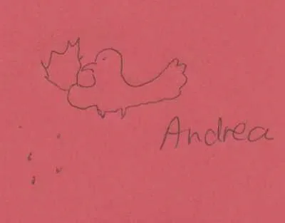 andrea