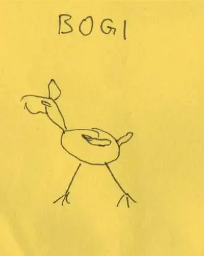 bogi