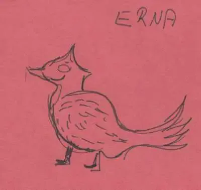 erna2