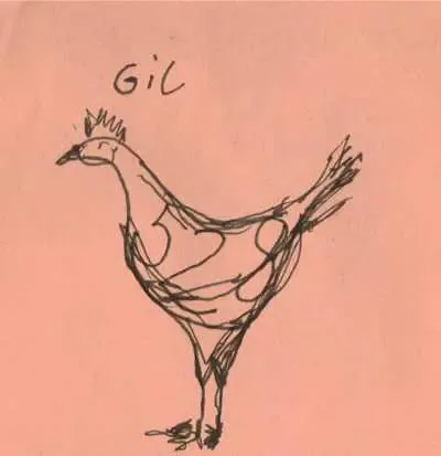 gilhuhn