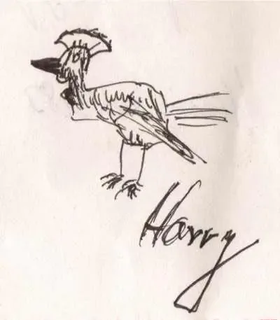 harry