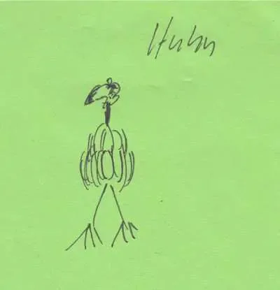 huhn