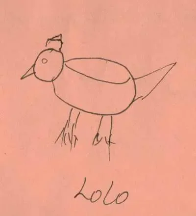 lolo