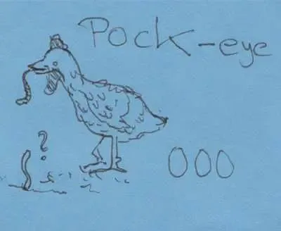 pock_eye