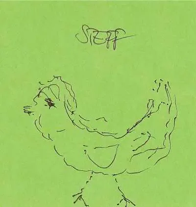 steff