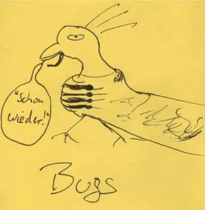 bugs