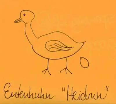 entenhuhn