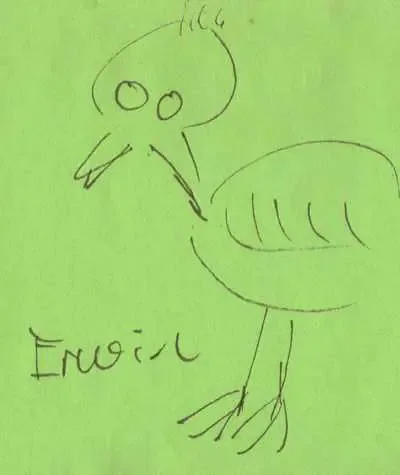 erwin