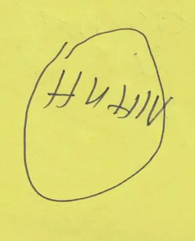 huhn2
