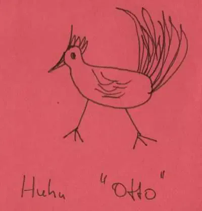 huhnotto