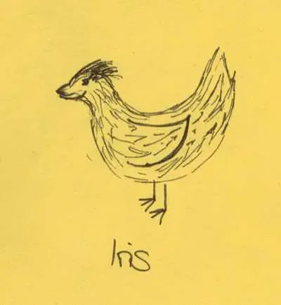 iris