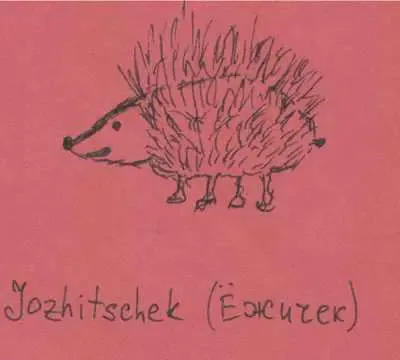 jozhitschek