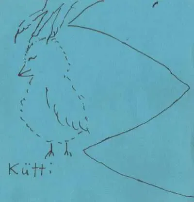 kuetti