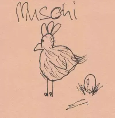 muschi