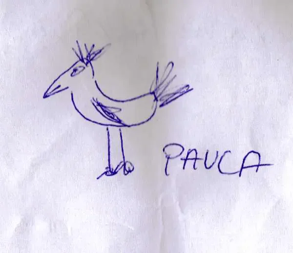 paula