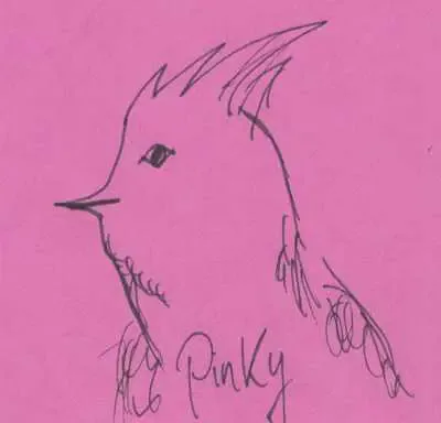 pinky