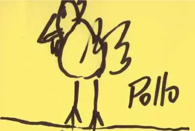 pollo
