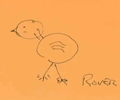 rover