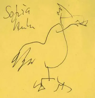 sofiahuhn