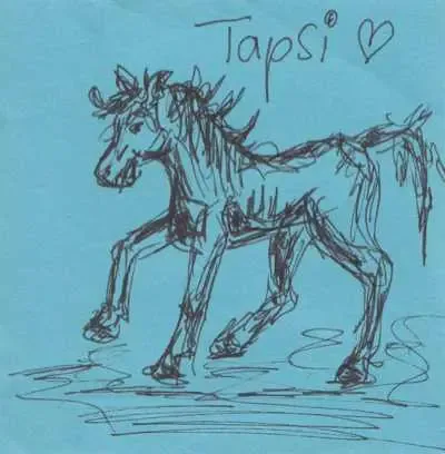 tapsi