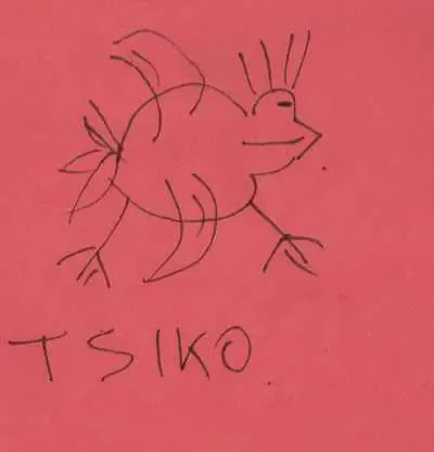tsiko