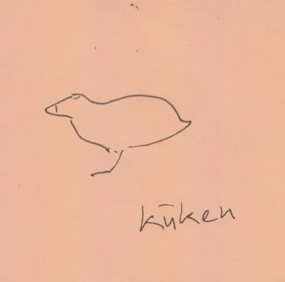 kueken