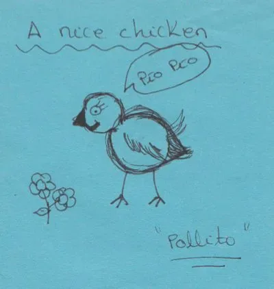 pollito