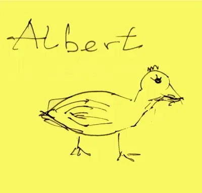 albert