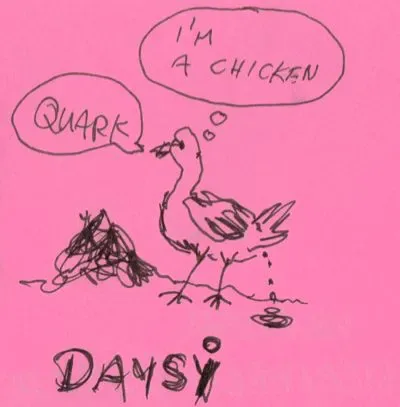 daysi