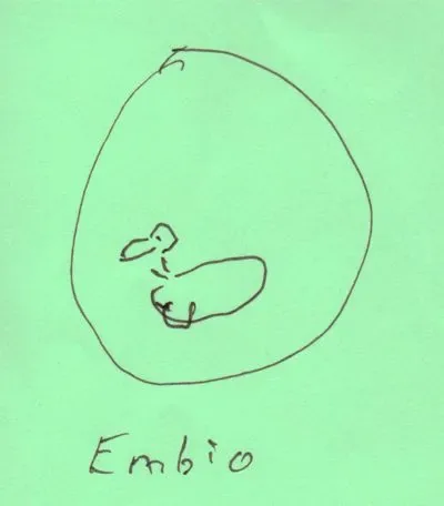 embio