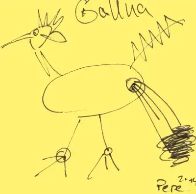 gallina