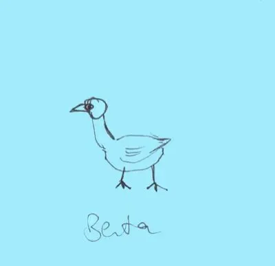 berta