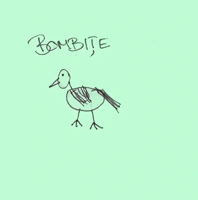 Bombite