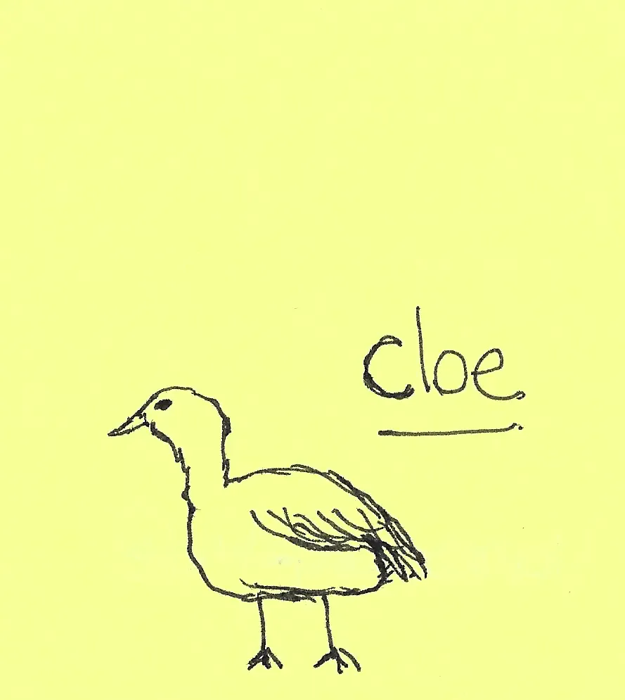 Cloe