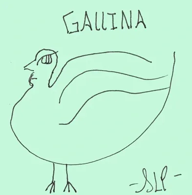 Gallina