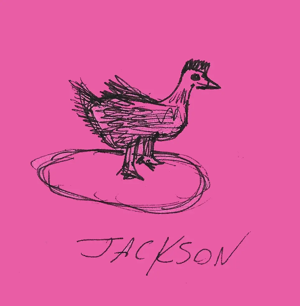 Jackson
