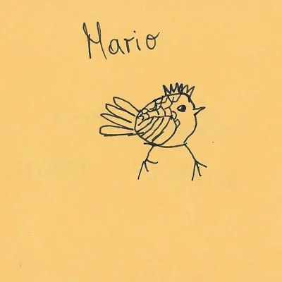 Mario