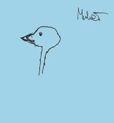Muher