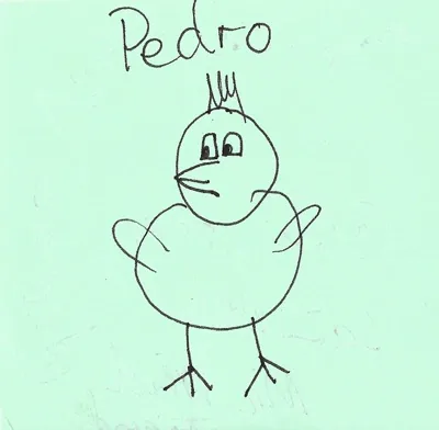 Pedro