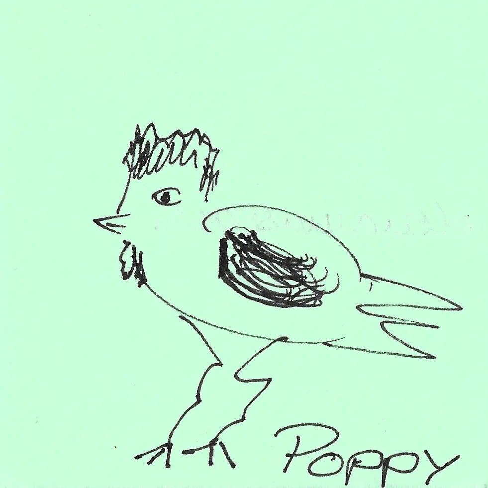 Poppy