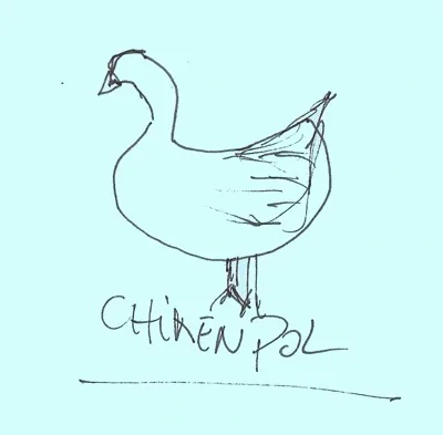 Chickenpol