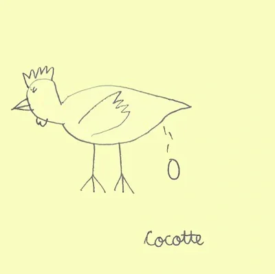 Cocotte