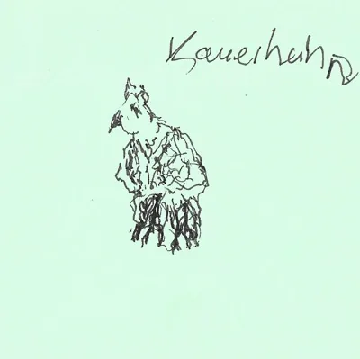Kauerhahn