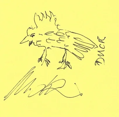 Duck
