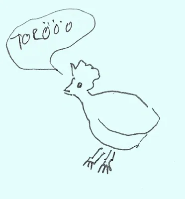 Torööo